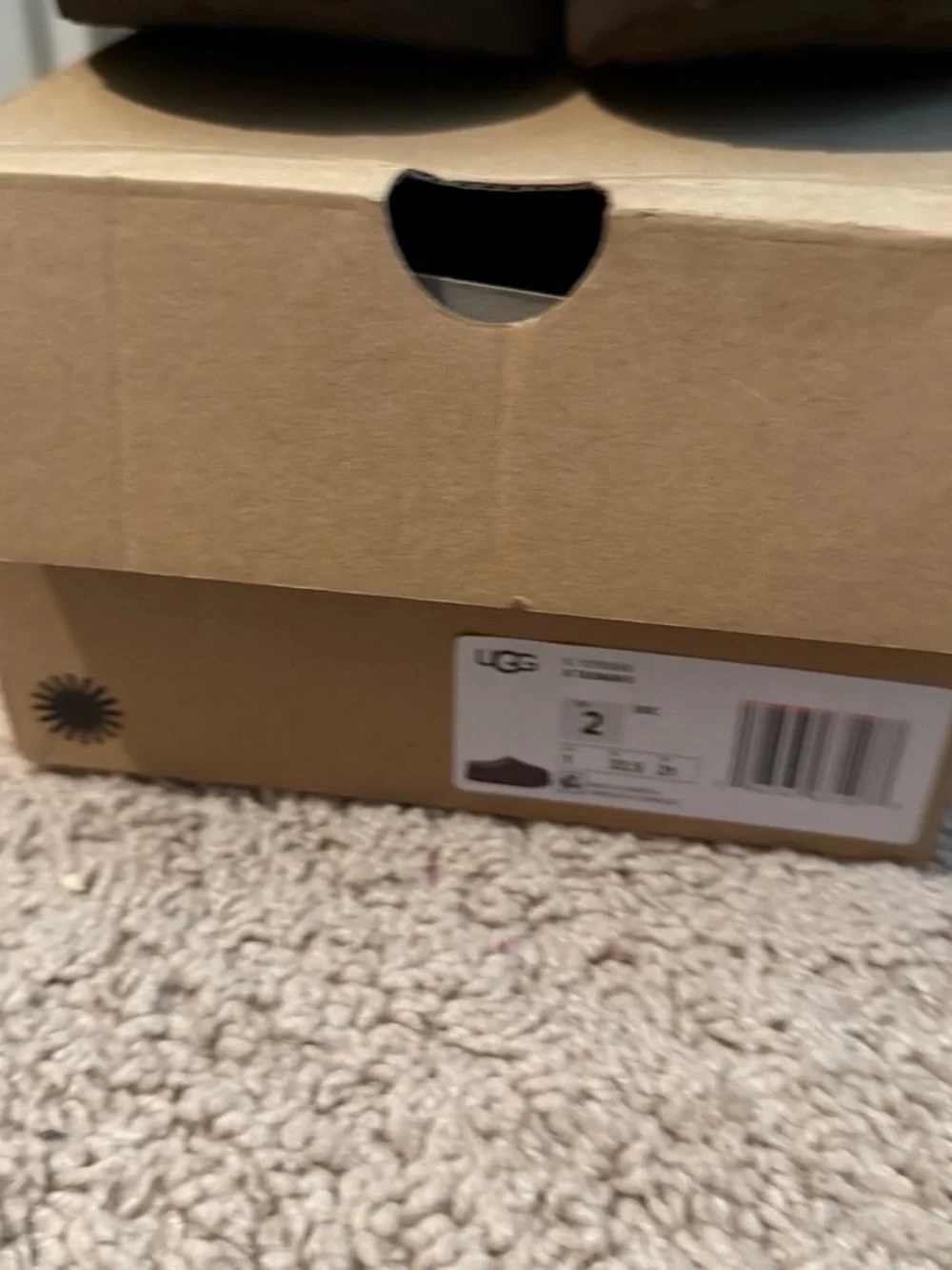 UGG cozy slip
